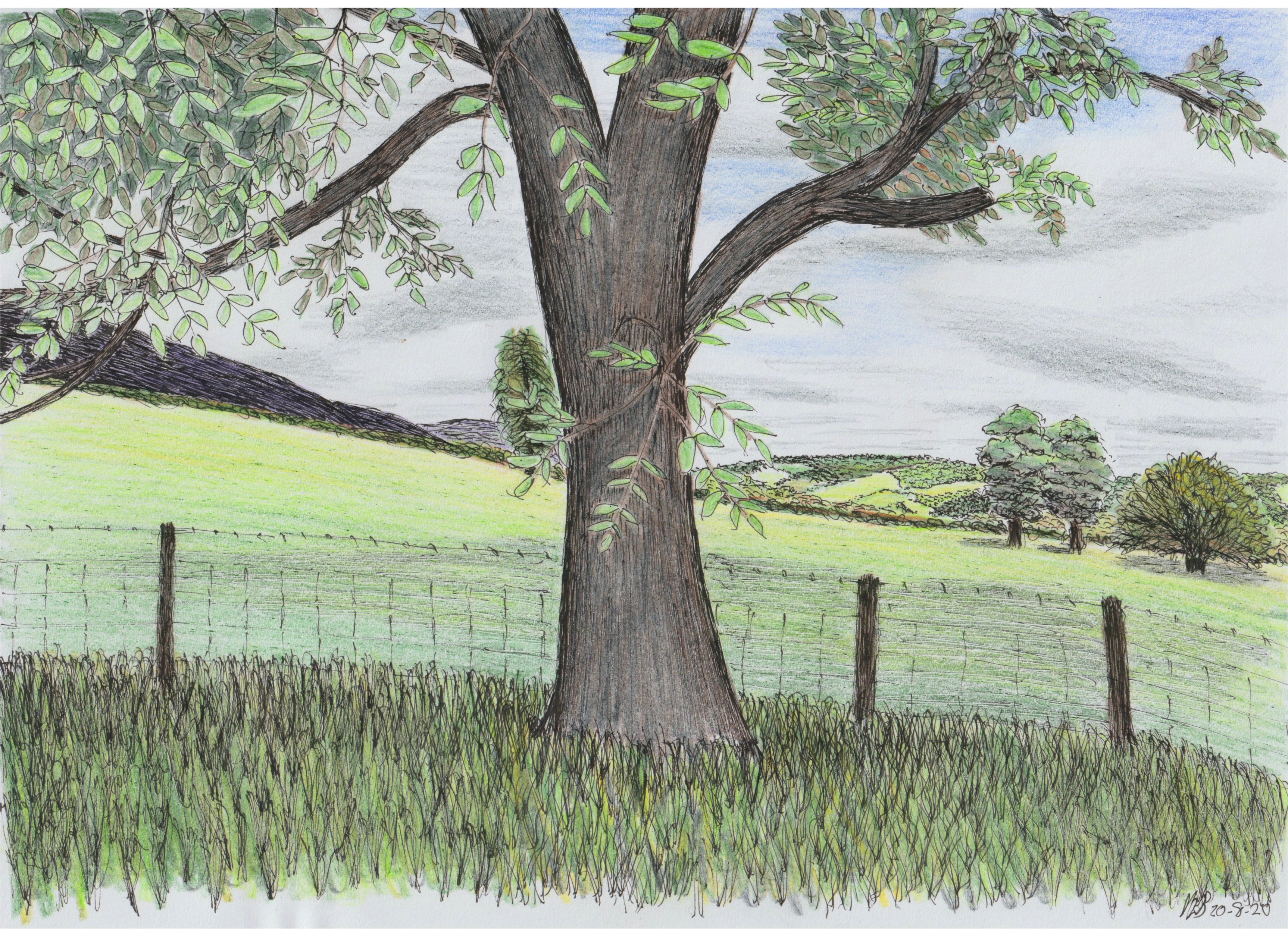 blackmountainslowerslopes20aug20