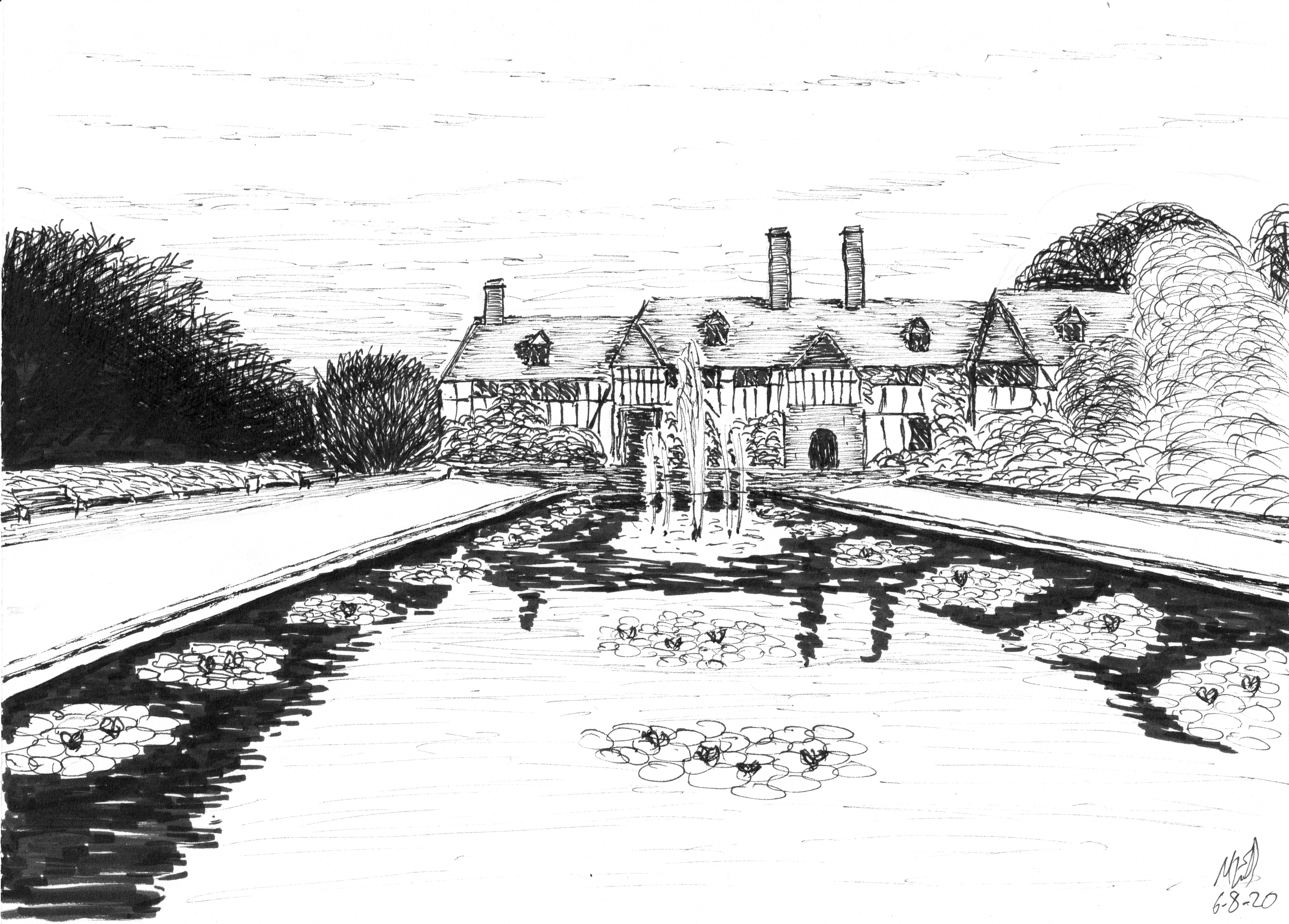 OrnamentalPond5Aug20