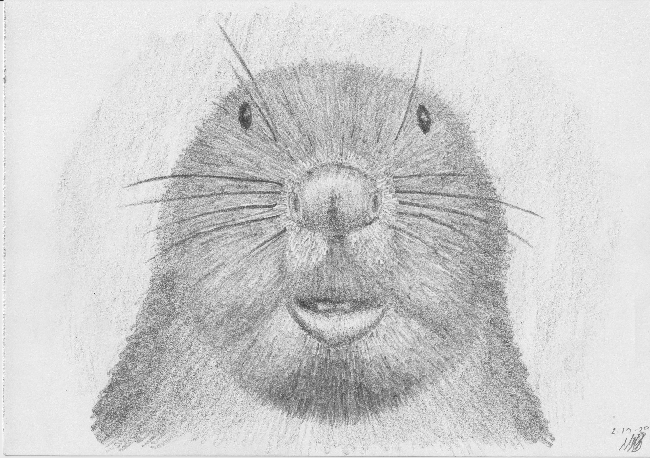 Beaver2Oct20