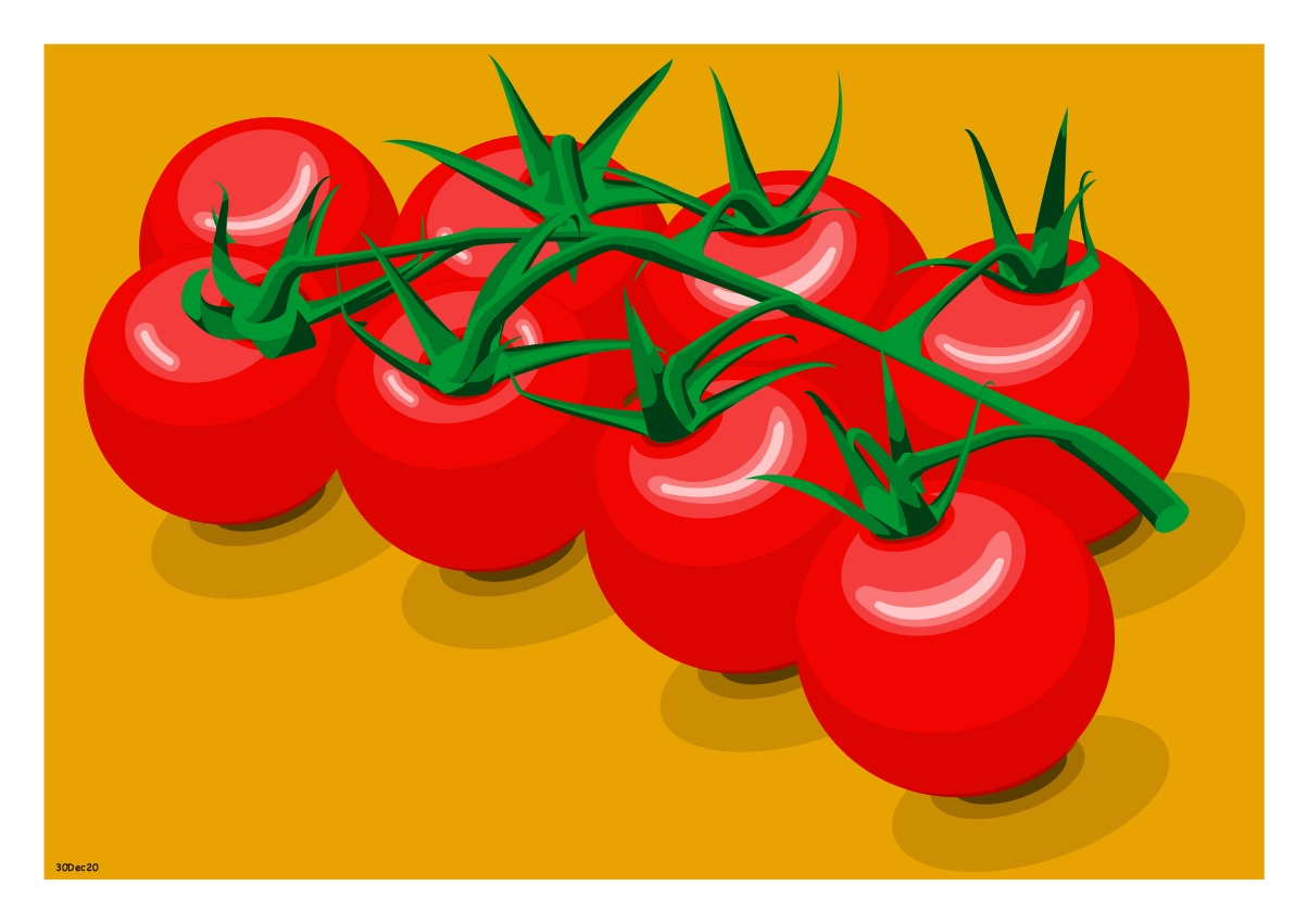 Tomatoes_Vector_30Dec20